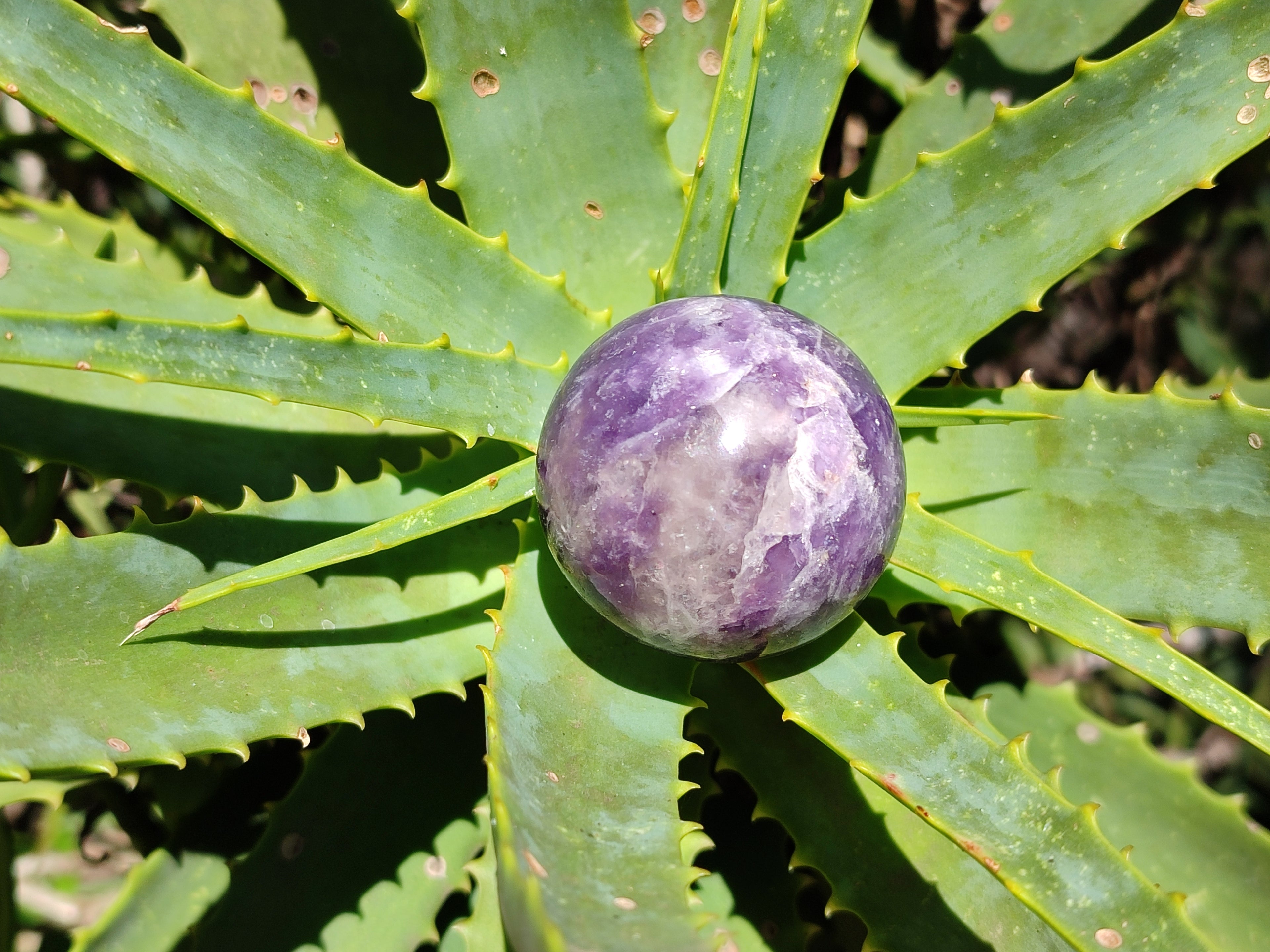 Polished Lepidolite with Pink Rubellite Sphere x 6 From Madagascar - Toprock Gemstones and Minerals 