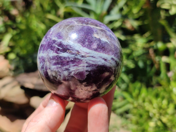 Polished Lepidolite with Pink Rubellite Sphere x 6 From Madagascar - Toprock Gemstones and Minerals 