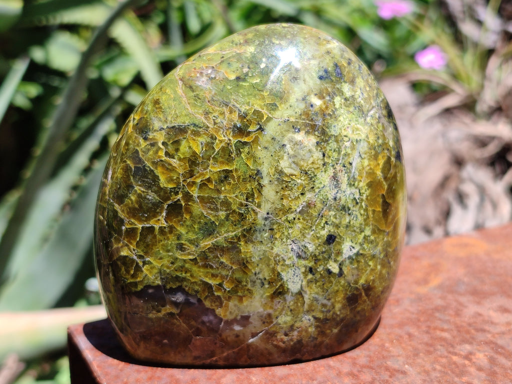 Polished Green Opal Standing Free Forms x 3 From Antsirabe, Madagascar - Toprock Gemstones and Minerals 