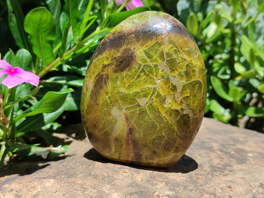 Polished Green Opal Standing Free Forms x 3 From Antsirabe, Madagascar - Toprock Gemstones and Minerals 