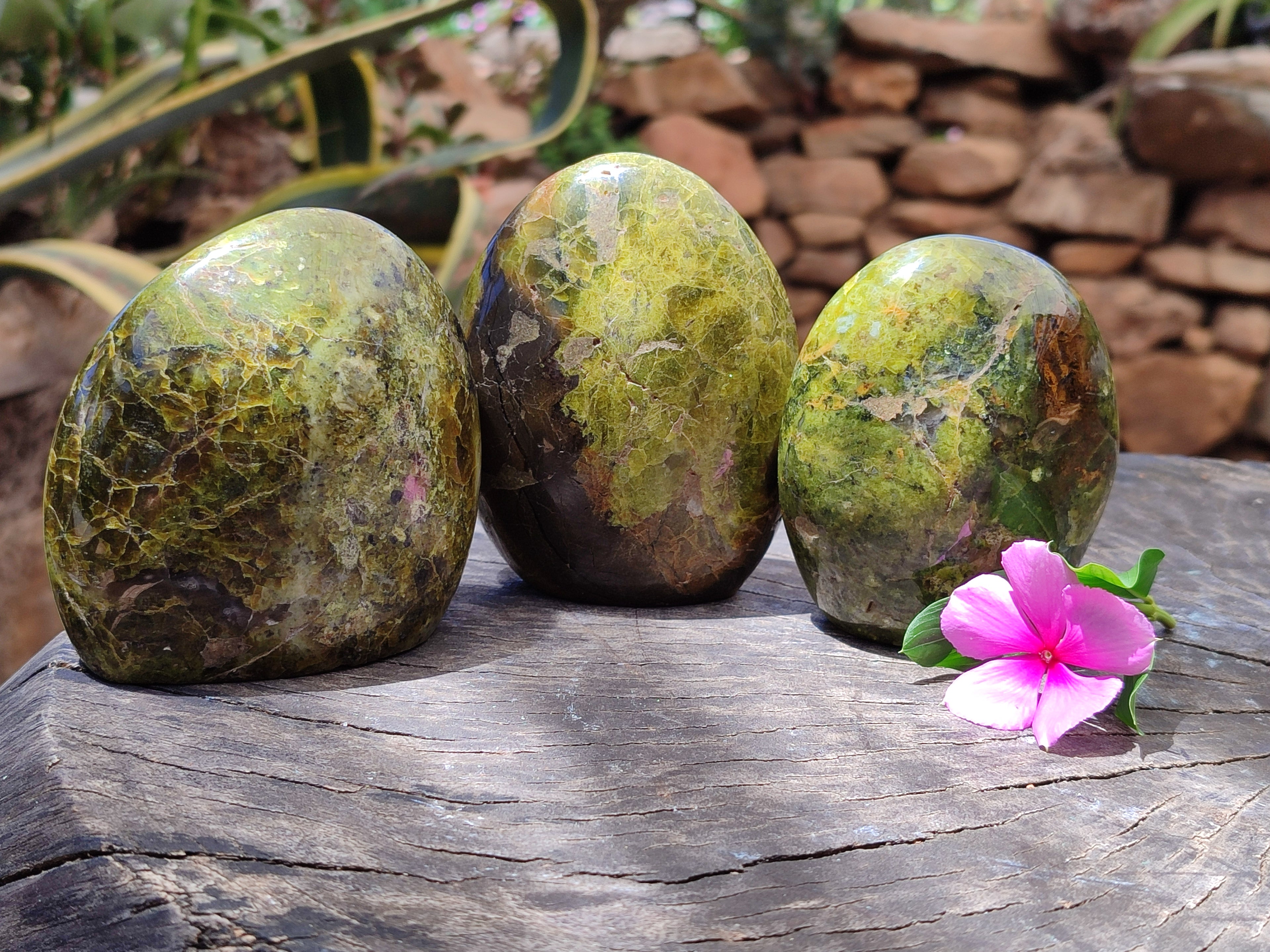Polished Green Opal Standing Free Forms x 3 From Antsirabe, Madagascar - Toprock Gemstones and Minerals 