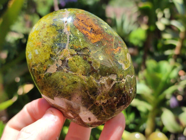 Polished Green Opal Standing Free Forms x 3 From Antsirabe, Madagascar - Toprock Gemstones and Minerals 