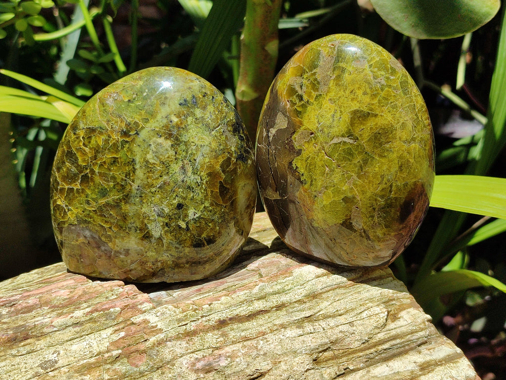 Polished Green Opal Standing Free Forms x 3 From Antsirabe, Madagascar - Toprock Gemstones and Minerals 