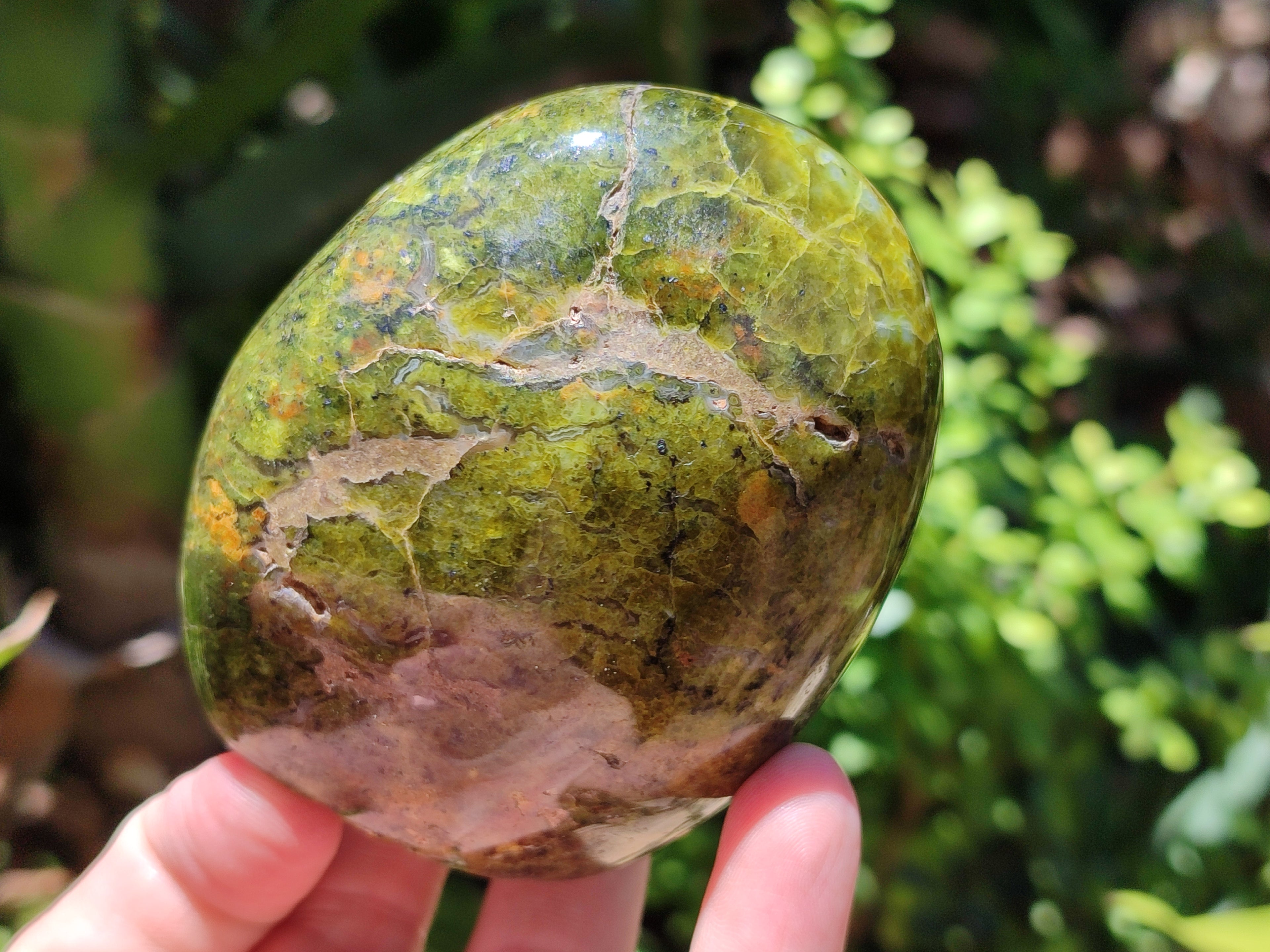 Polished Green Opal Standing Free Forms x 3 From Antsirabe, Madagascar - Toprock Gemstones and Minerals 