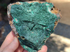 Natural Botryoidal Malachite Specimens x 2 From Congo - Toprock Gemstones and Minerals 