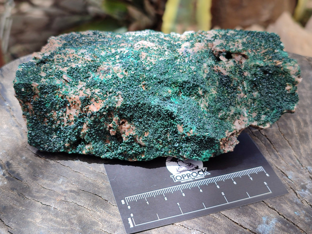 Natural Botryoidal Malachite Specimens x 2 From Congo - Toprock Gemstones and Minerals 