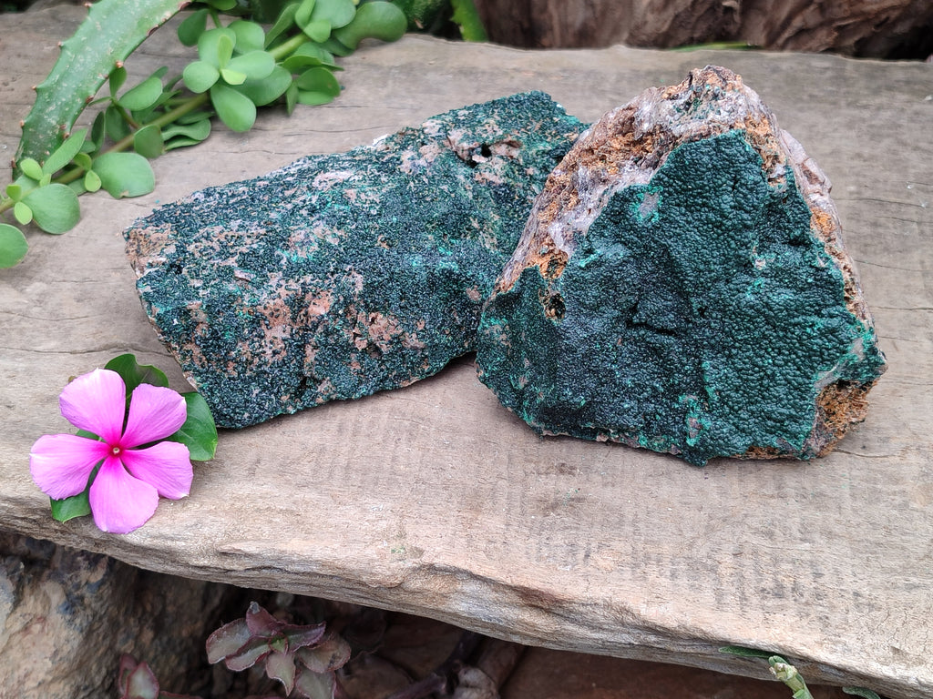 Natural Botryoidal Malachite Specimens x 2 From Congo - Toprock Gemstones and Minerals 