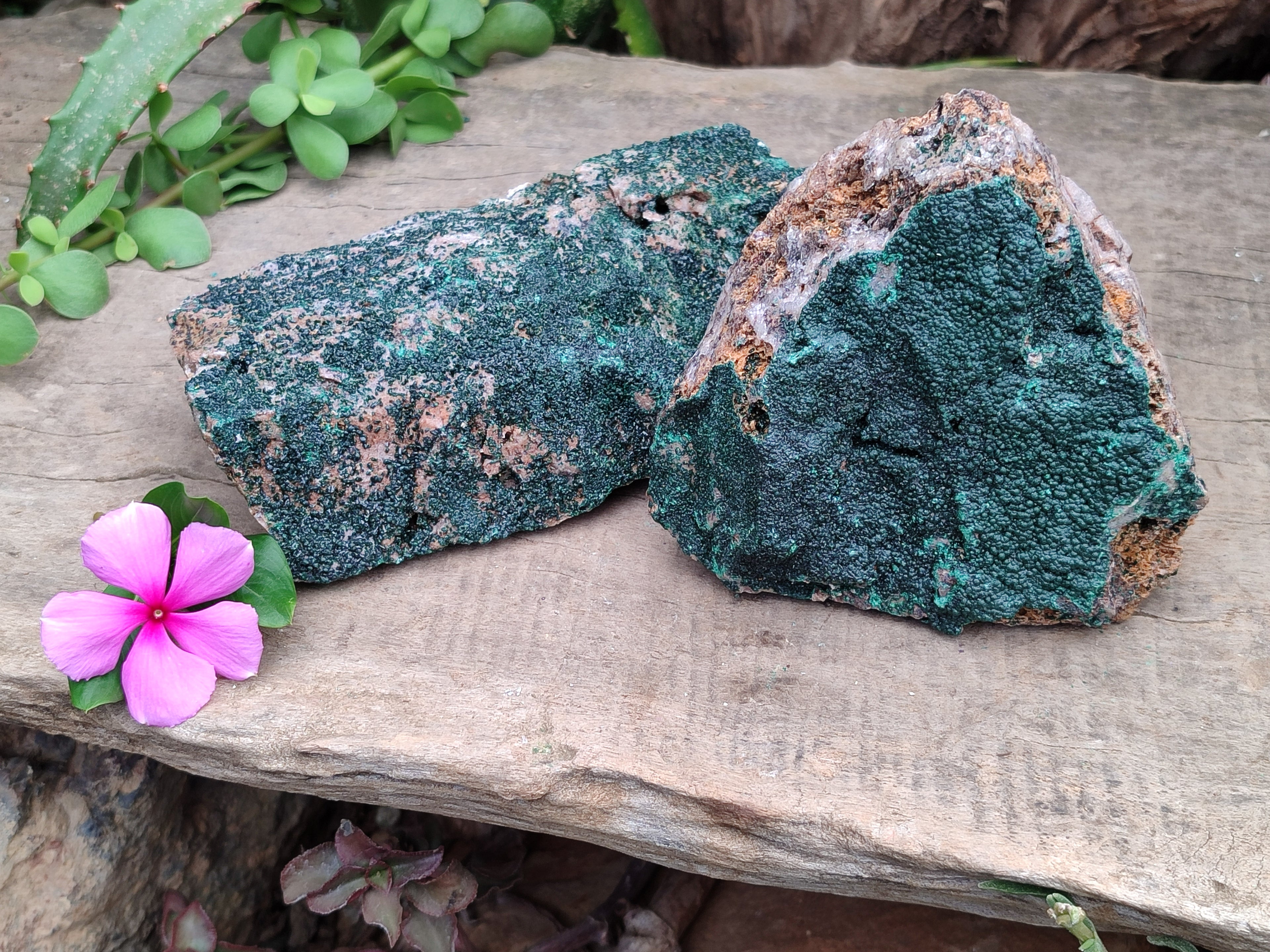 Natural Botryoidal Malachite Specimens x 2 From Congo - Toprock Gemstones and Minerals 