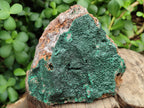 Natural Botryoidal Malachite Specimens x 2 From Congo - Toprock Gemstones and Minerals 