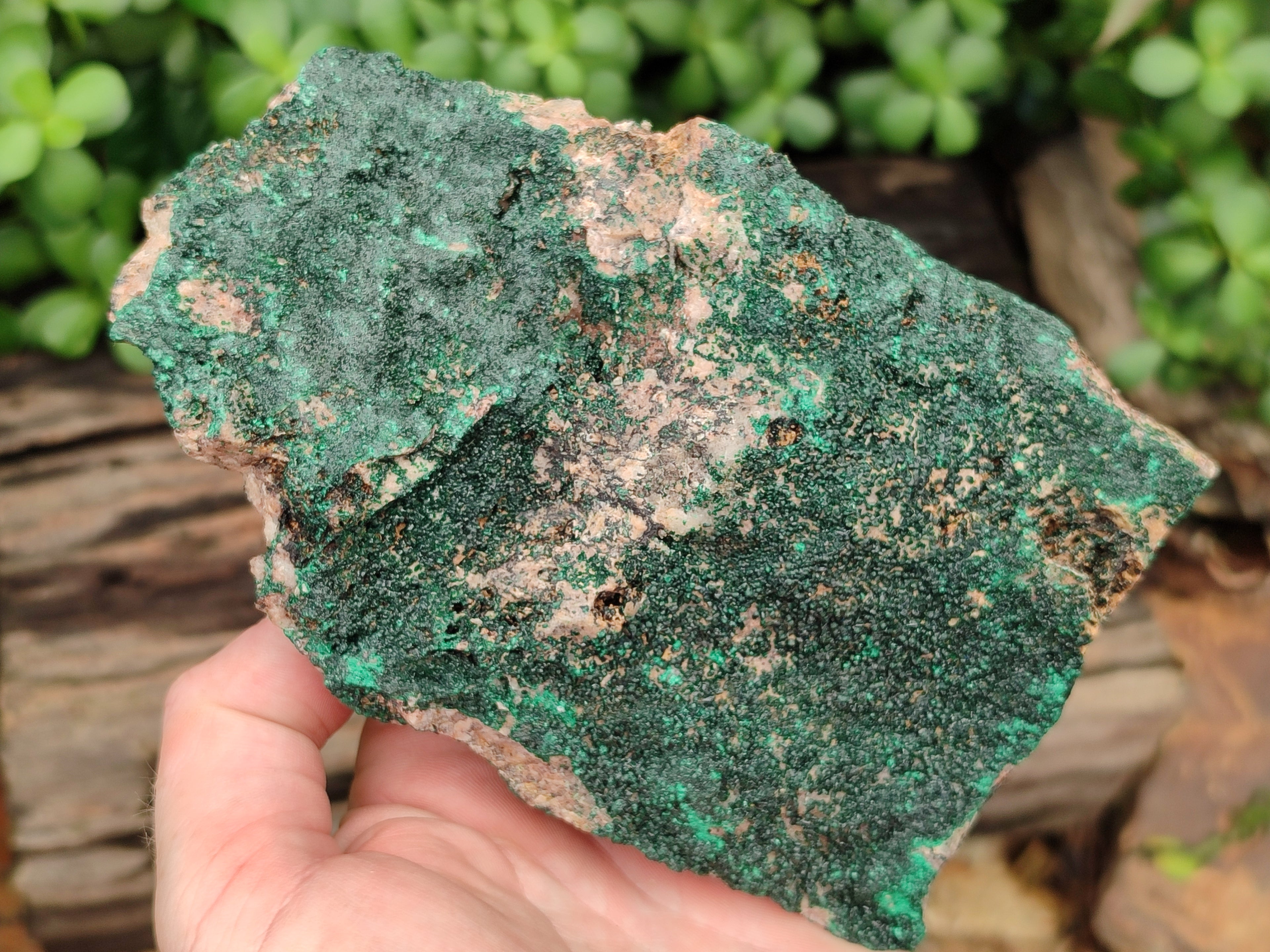 Natural Botryoidal Malachite Specimens x 2 From Congo - Toprock Gemstones and Minerals 