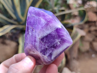 Polished Chevron Amethyst Points x 4 from Zambia - Toprock Gemstones and Minerals 
