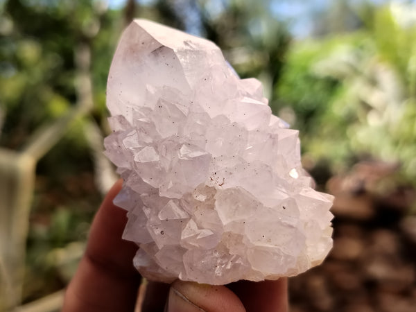 Natural Cactus Spirit Quartz Clusters x 12 From Boekenhouthoek, South Africa