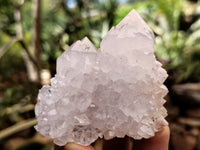 Natural Cactus Spirit Quartz Clusters x 12 From Boekenhouthoek, South Africa