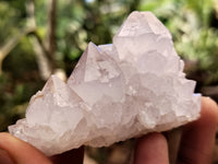 Natural Cactus Spirit Quartz Clusters x 12 From Boekenhouthoek, South Africa