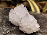 Natural Cactus Spirit Quartz Clusters x 12 From Boekenhouthoek, South Africa