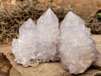 Natural Cactus Spirit Quartz Clusters x 12 From Boekenhouthoek, South Africa - Toprock Gemstones and Minerals 