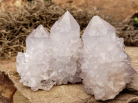 Natural Cactus Spirit Quartz Clusters x 12 From Boekenhouthoek, South Africa