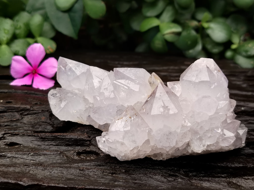 Natural Cactus Spirit Quartz Clusters x 12 From Boekenhouthoek, South Africa - Toprock Gemstones and Minerals 