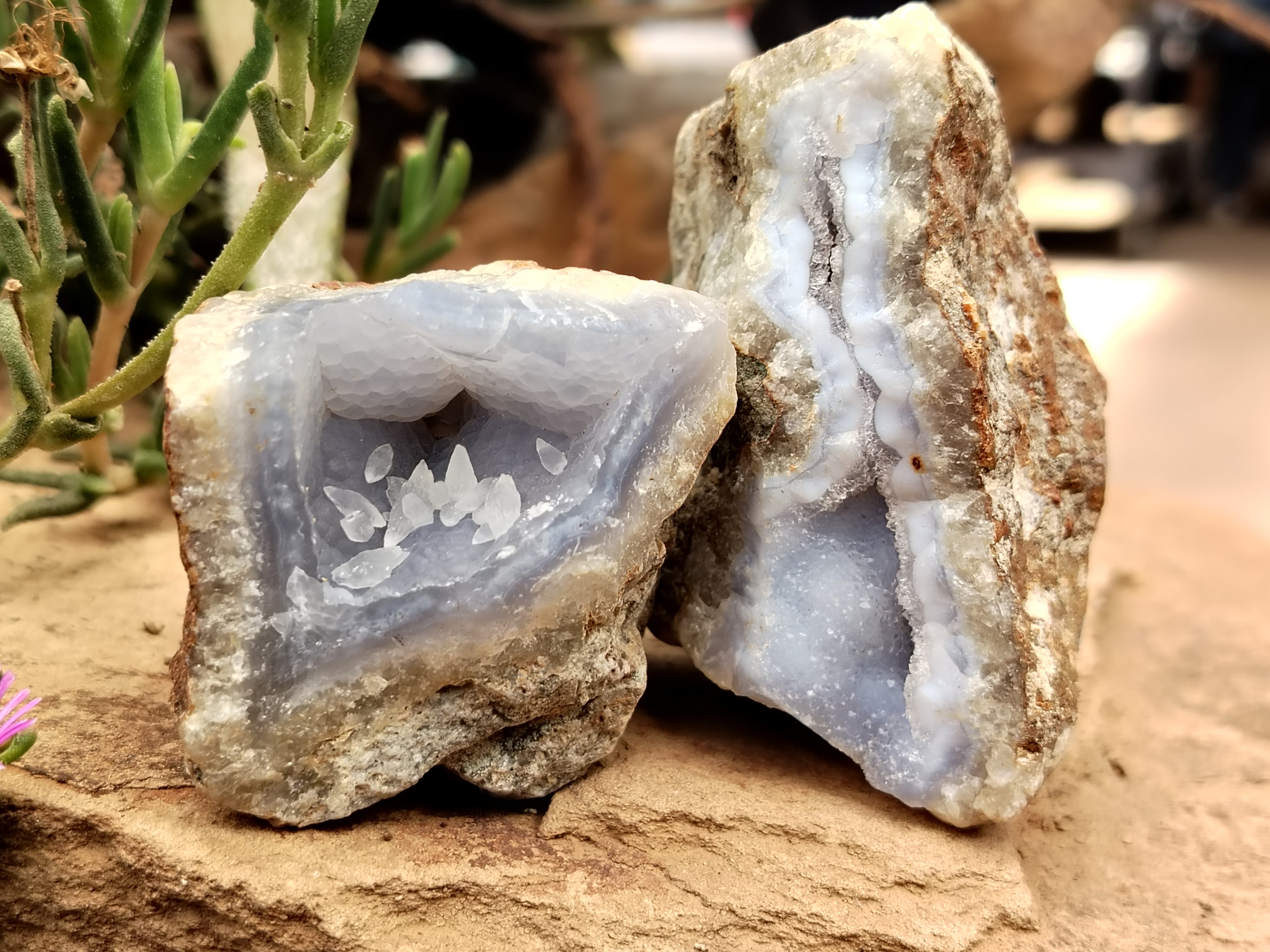 Natural Blue Lace Agate Geode Specimens x 24 From Malawi - Toprock Gemstones and Minerals 