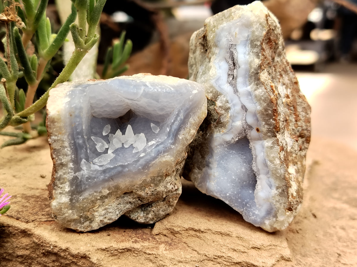 Natural Blue Lace Agate Geode Specimens x 24 From Malawi - Toprock Gemstones and Minerals 