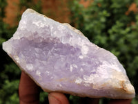 Natural Blue Lace Agate Geode Specimens x 24 From Malawi - Toprock Gemstones and Minerals 