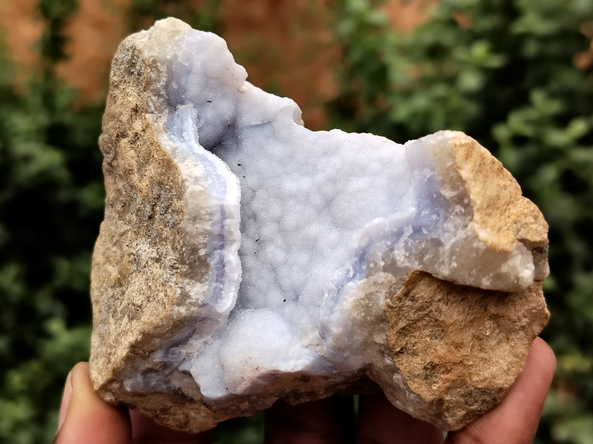 Natural Blue Lace Agate Geode Specimens x 24 From Malawi - Toprock Gemstones and Minerals 