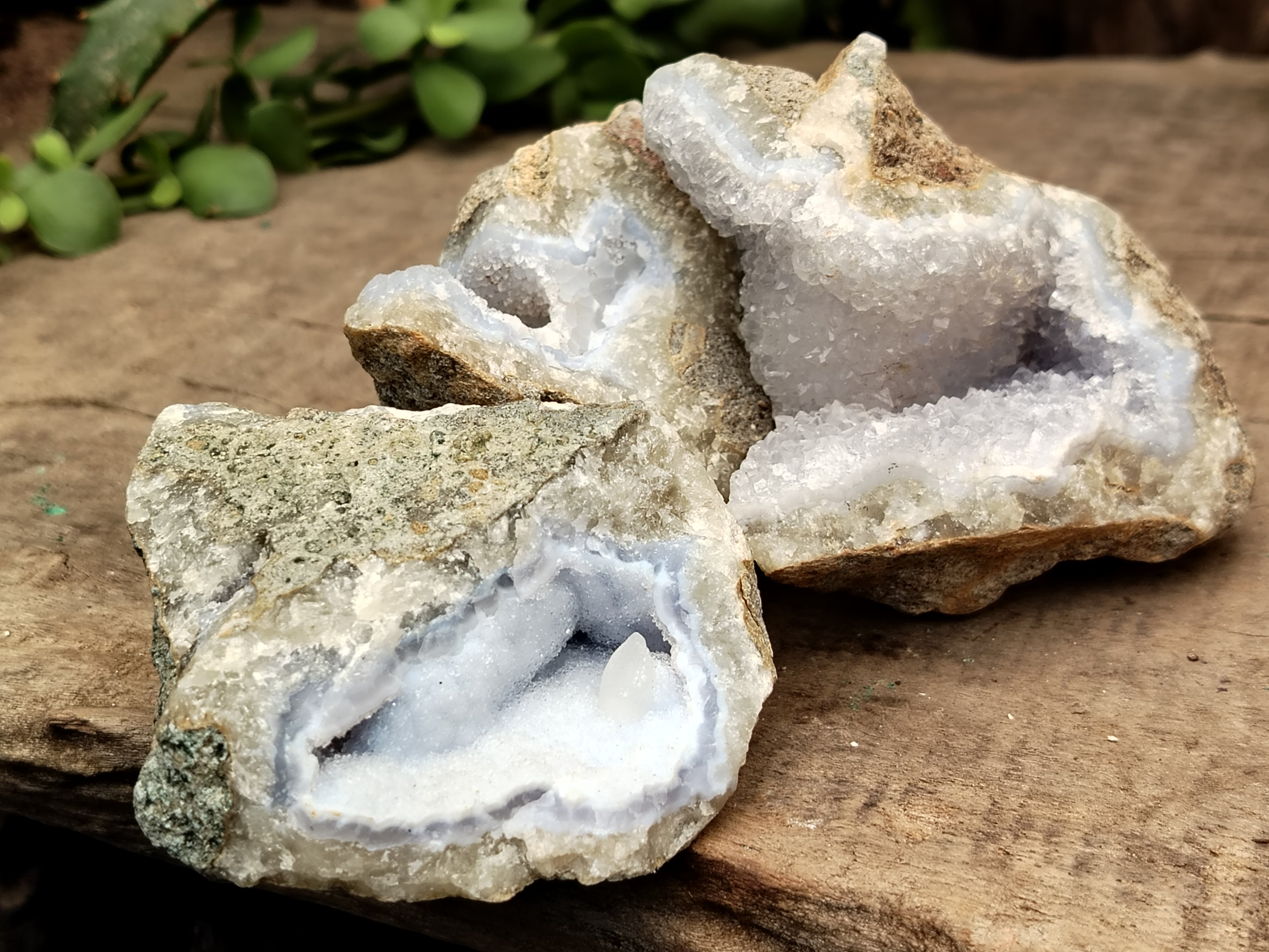 Natural Blue Lace Agate Geode Specimens x 24 From Malawi - Toprock Gemstones and Minerals 