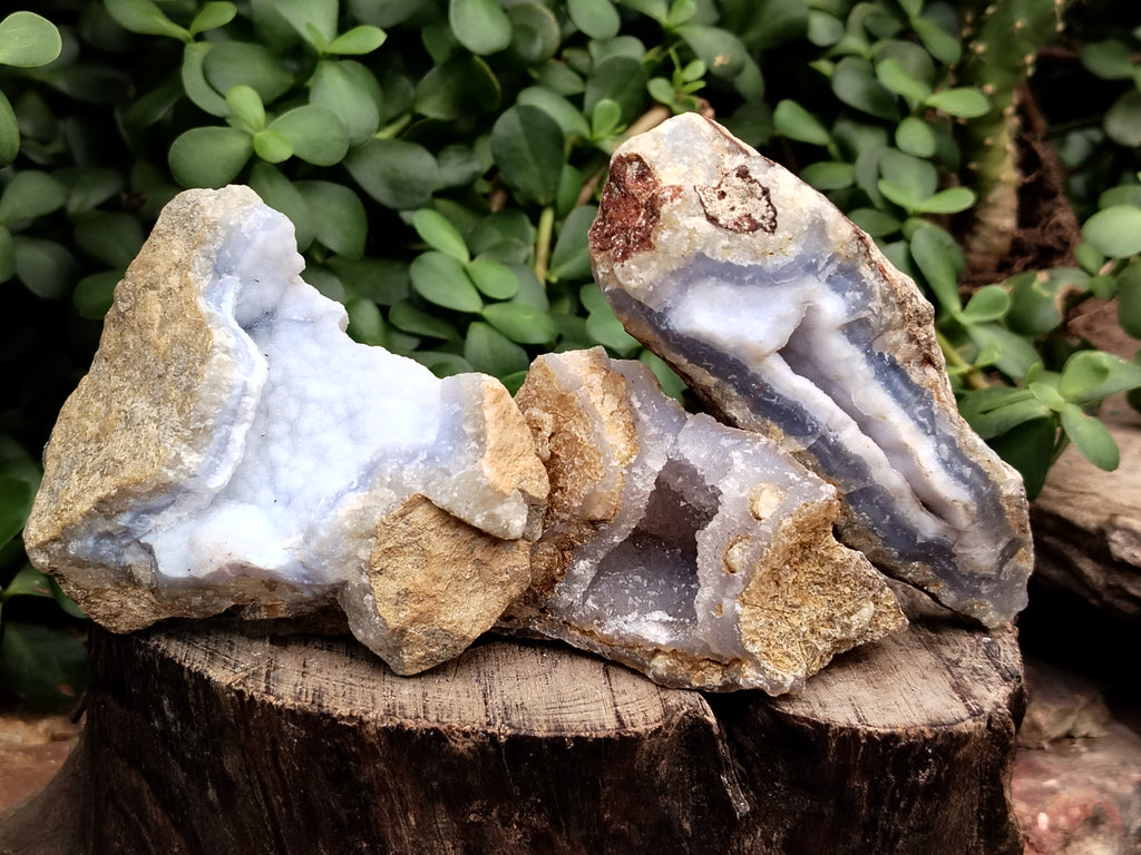 Natural Blue Lace Agate Geode Specimens x 24 From Malawi - Toprock Gemstones and Minerals 