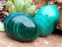 Polished Flower Banded Malachite Cabochons x 40 From Congo - Toprock Gemstones and Minerals 