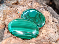 Polished Flower Banded Malachite Cabochons x 40 From Congo - Toprock Gemstones and Minerals 