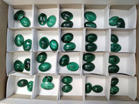 Polished Flower Banded Malachite Cabochons x 40 From Congo - Toprock Gemstones and Minerals 