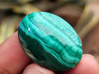 Polished Flower Banded Malachite Cabochons x 40 From Congo - Toprock Gemstones and Minerals 