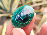 Polished Flower Banded Malachite Cabochons x 40 From Congo - Toprock Gemstones and Minerals 