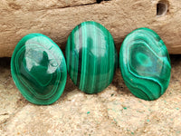 Polished Flower Banded Malachite Cabochons x 40 From Congo - Toprock Gemstones and Minerals 