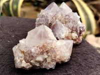 Natural Cactus Flower Spirit Quartz Clusters x 15 From Boekenhouthoek, South Africa