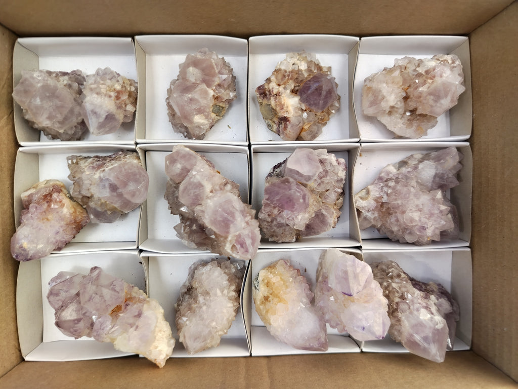 Natural Cactus Flower Spirit Quartz Clusters x 15 From Boekenhouthoek, South Africa - Toprock Gemstones and Minerals 