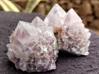 Natural Cactus Flower Spirit Quartz Clusters x 15 From Boekenhouthoek, South Africa