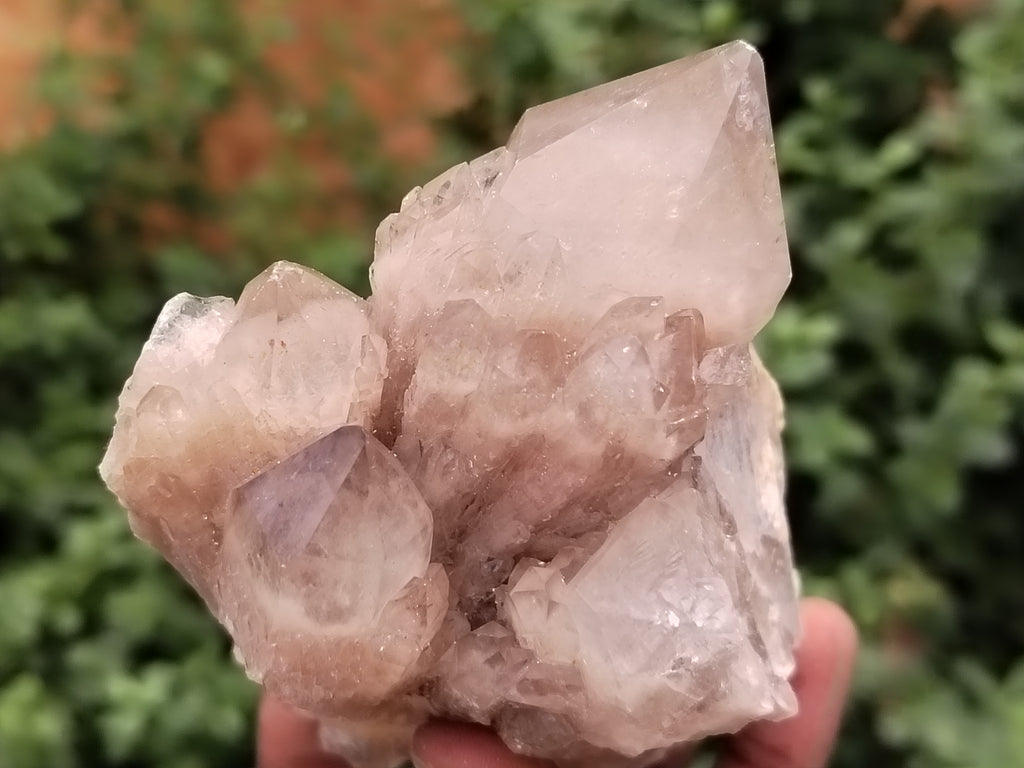 Natural Smokey Phantom Quartz Clusters x 4 From Luena, Congo - Toprock Gemstones and Minerals 