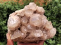 Natural Smokey Phantom Quartz Clusters x 4 From Luena, Congo - Toprock Gemstones and Minerals 