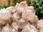 Natural Smokey Phantom Quartz Clusters x 4 From Luena, Congo - Toprock Gemstones and Minerals 