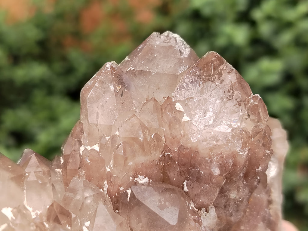 Natural Smokey Phantom Quartz Clusters x 4 From Luena, Congo - Toprock Gemstones and Minerals 