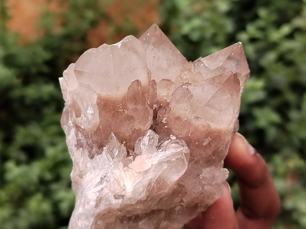 Natural Smokey Phantom Quartz Clusters x 4 From Luena, Congo - Toprock Gemstones and Minerals 