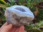 Natural Blue Lace Agate Geode Specimens x 6 From Nsanje, Malawi - Toprock Gemstones and Minerals 