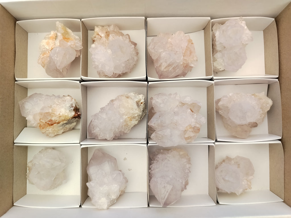 Natural Cactus Flower Spirit Quartz Clusters x 12 From Boekenhouthoek, South Africa - Toprock Gemstones and Minerals 