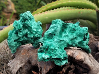 Natural Silky Malachite Specimens x 5 From Kasompe, Congo - Toprock Gemstones and Minerals 
