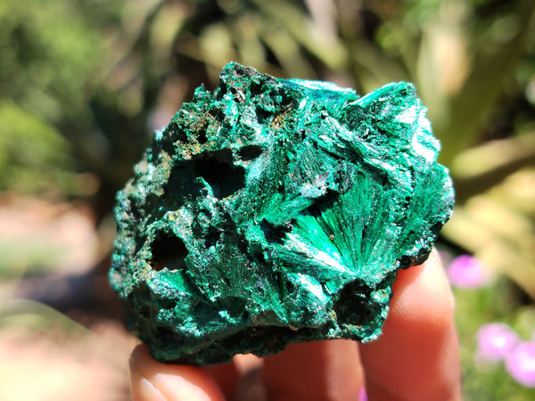 Natural Silky Malachite Specimens x 5 From Kasompe, Congo - Toprock Gemstones and Minerals 