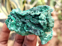 Natural Silky Malachite Specimens x 5 From Kasompe, Congo - Toprock Gemstones and Minerals 