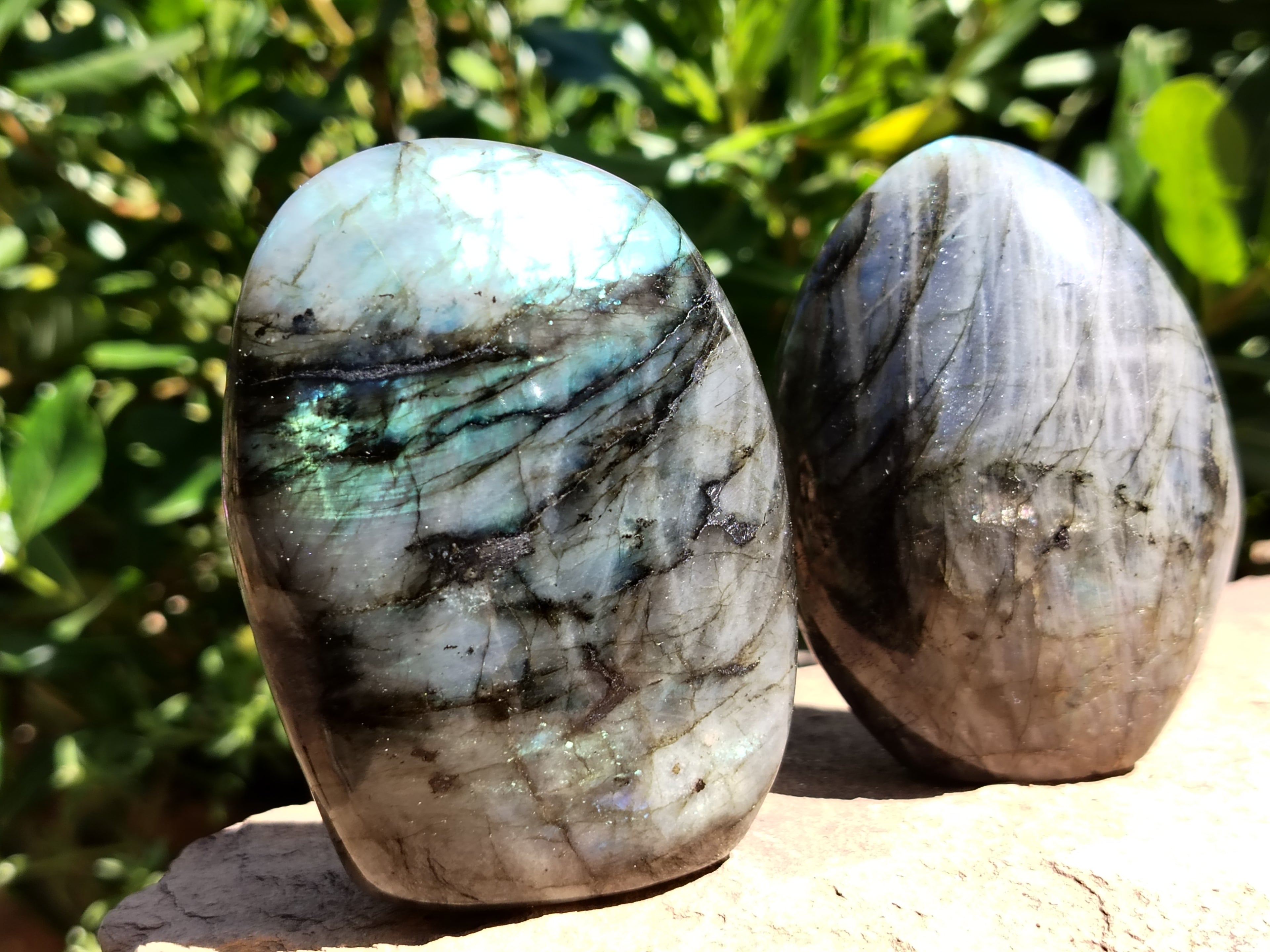 Polished Labradorite Standing Free Forms x 6 From Tulear, Madagascar - Toprock Gemstones and Minerals 