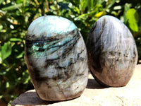 Polished Labradorite Standing Free Forms x 6 From Tulear, Madagascar - Toprock Gemstones and Minerals 