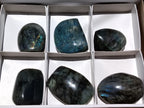 Polished Labradorite Standing Free Forms x 6 From Tulear, Madagascar - Toprock Gemstones and Minerals 